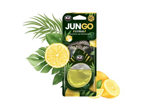 Car Air Freshener Pendant